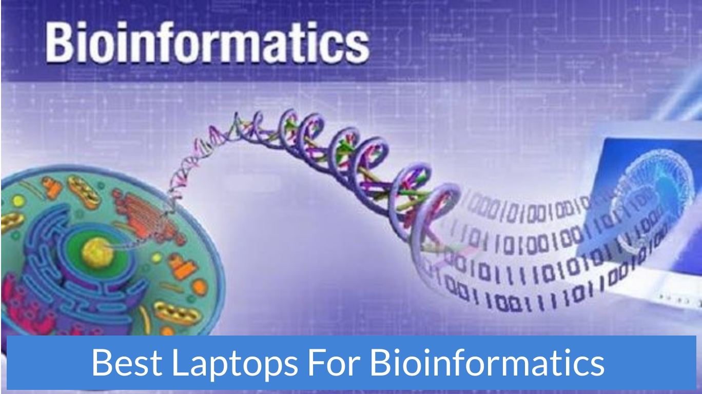 help a graduate student going into bioinformatics looking for a new personal laptop. mac or pc?